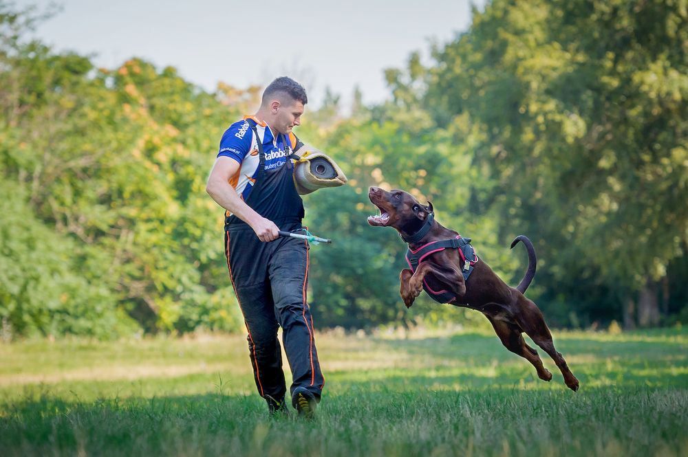 Photograph by Олег Гаричкин