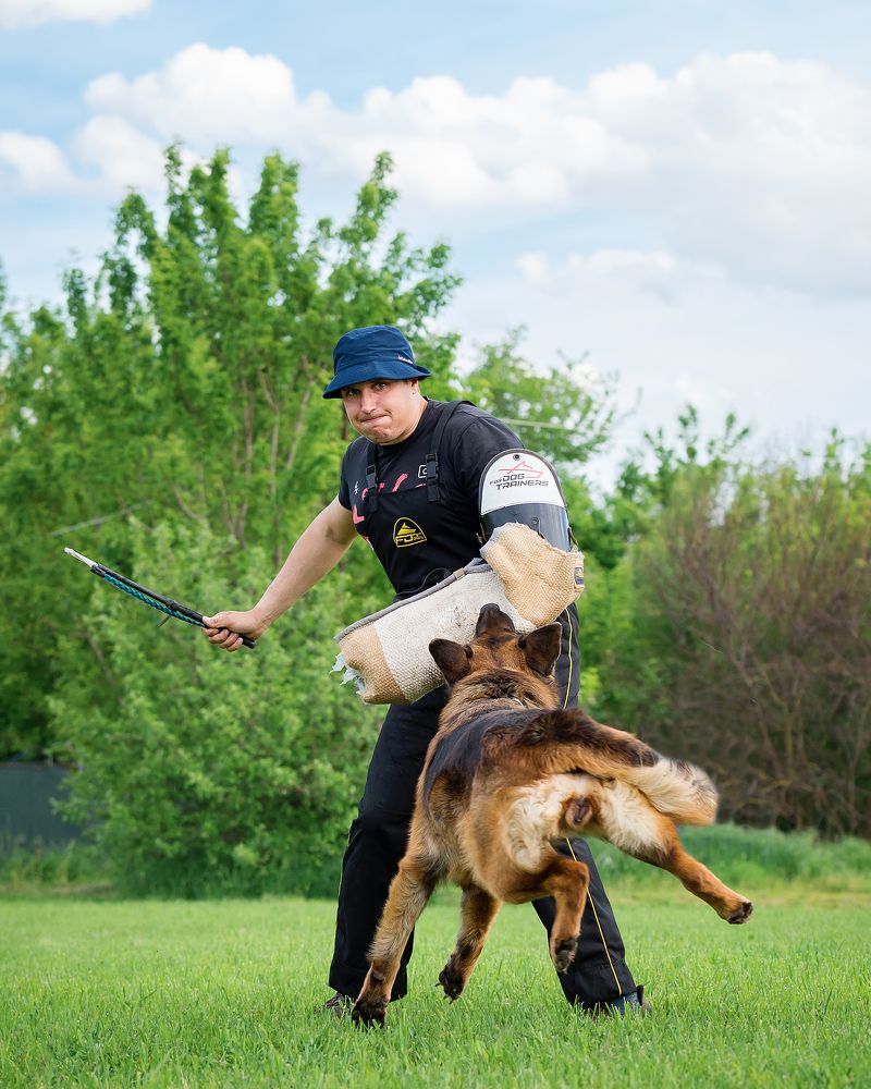 Photograph by Олег Гаричкин