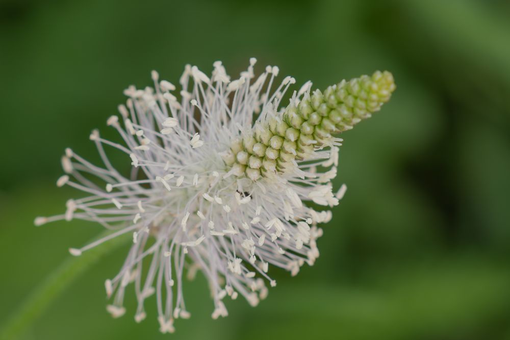 Photograph by Сергей Жиркевич