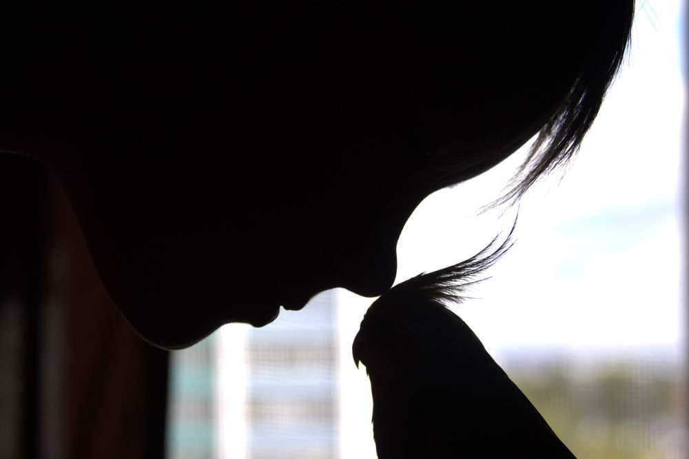 Photograph by Светлана Кравченко