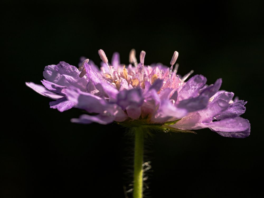 Фотография автора Ирина Гриценко