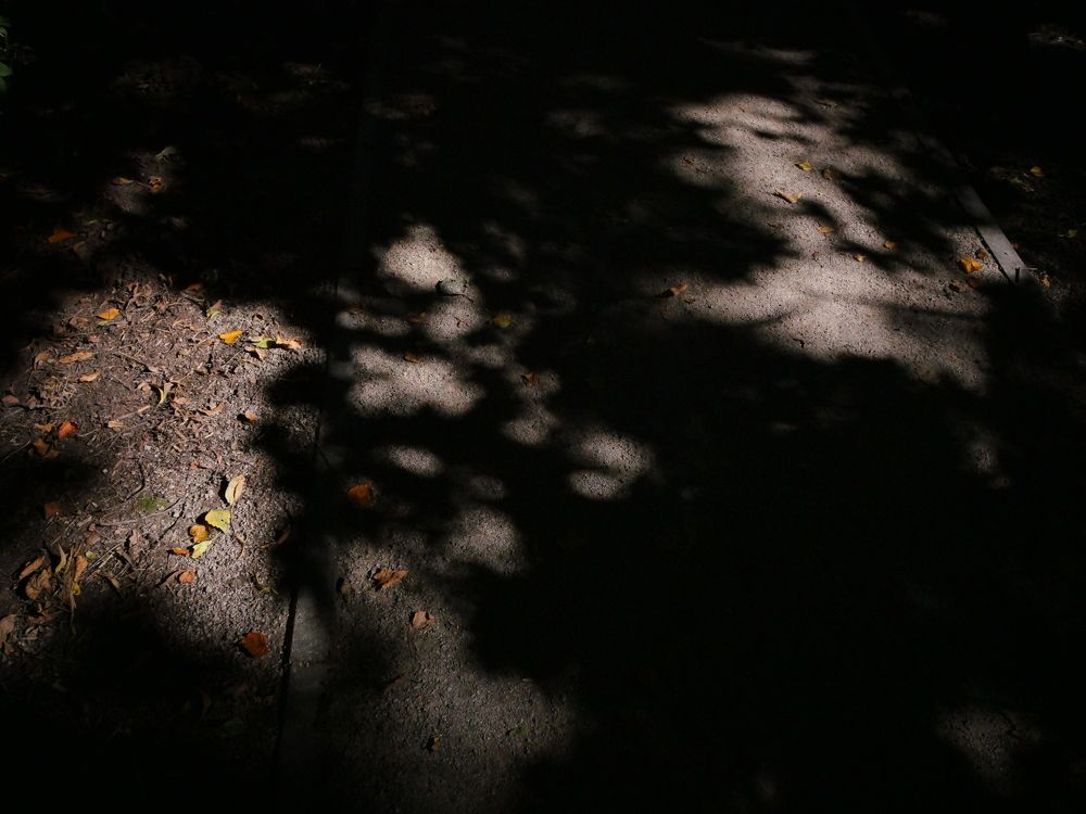 Photograph by ИуИлЪ T @EyEL_xxx