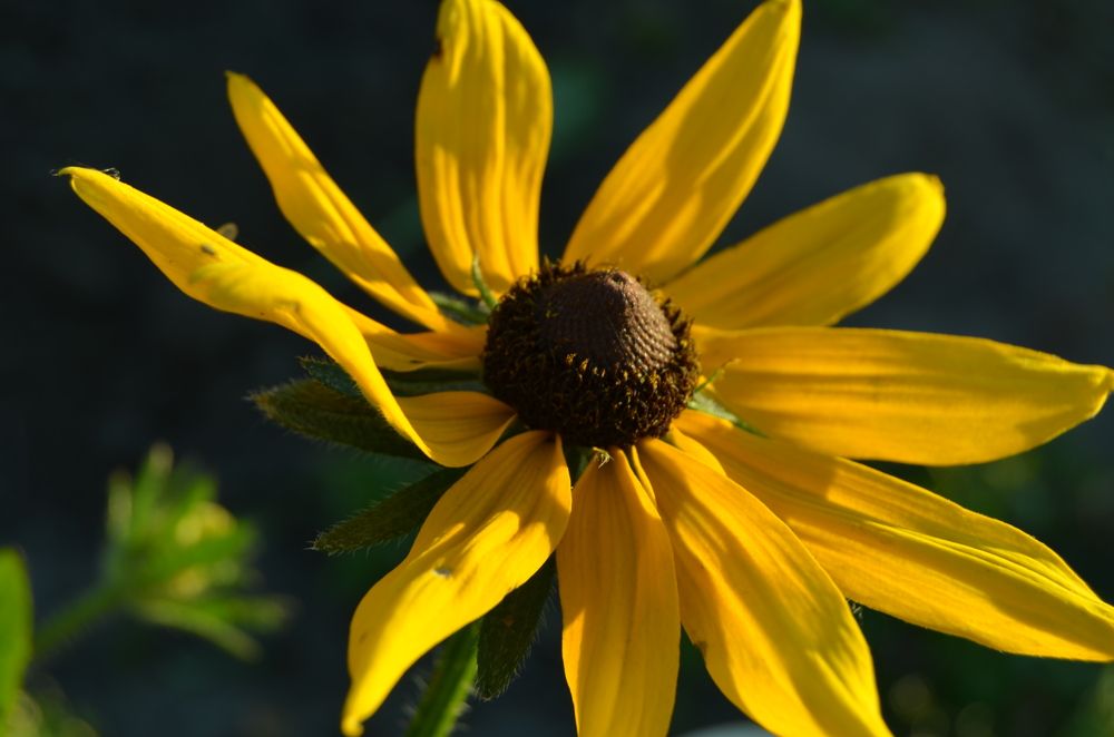 Photograph by Анастасия Кудина