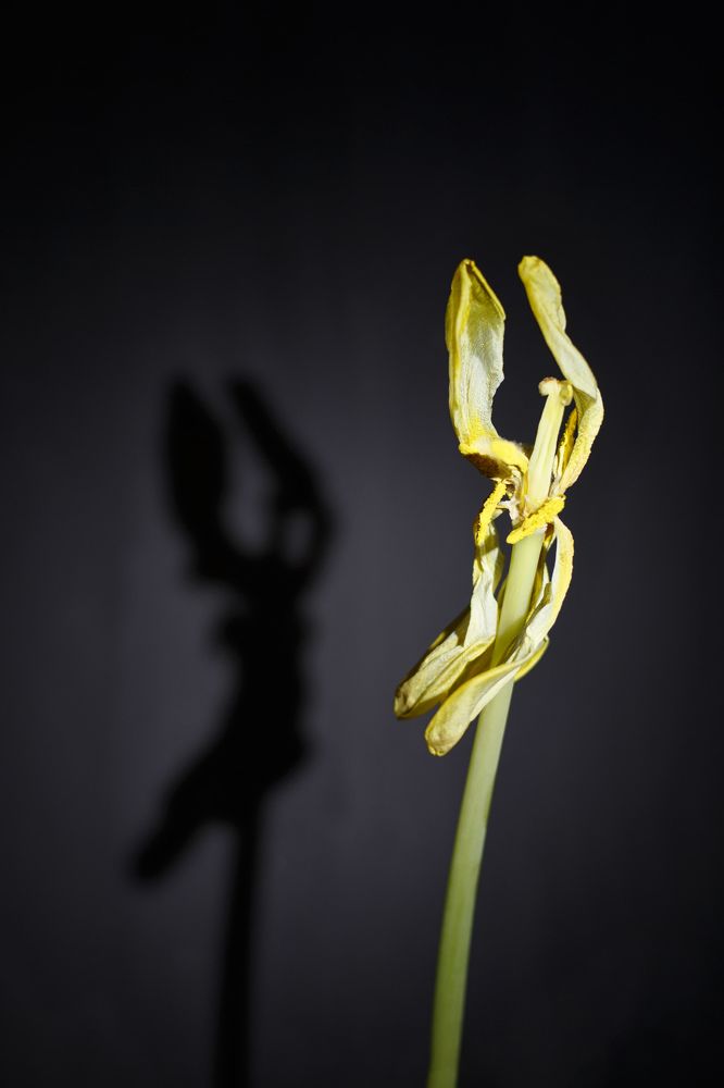 Photograph by Анна Артёменко