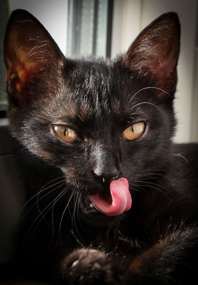 Photograph by Ольга Чазова