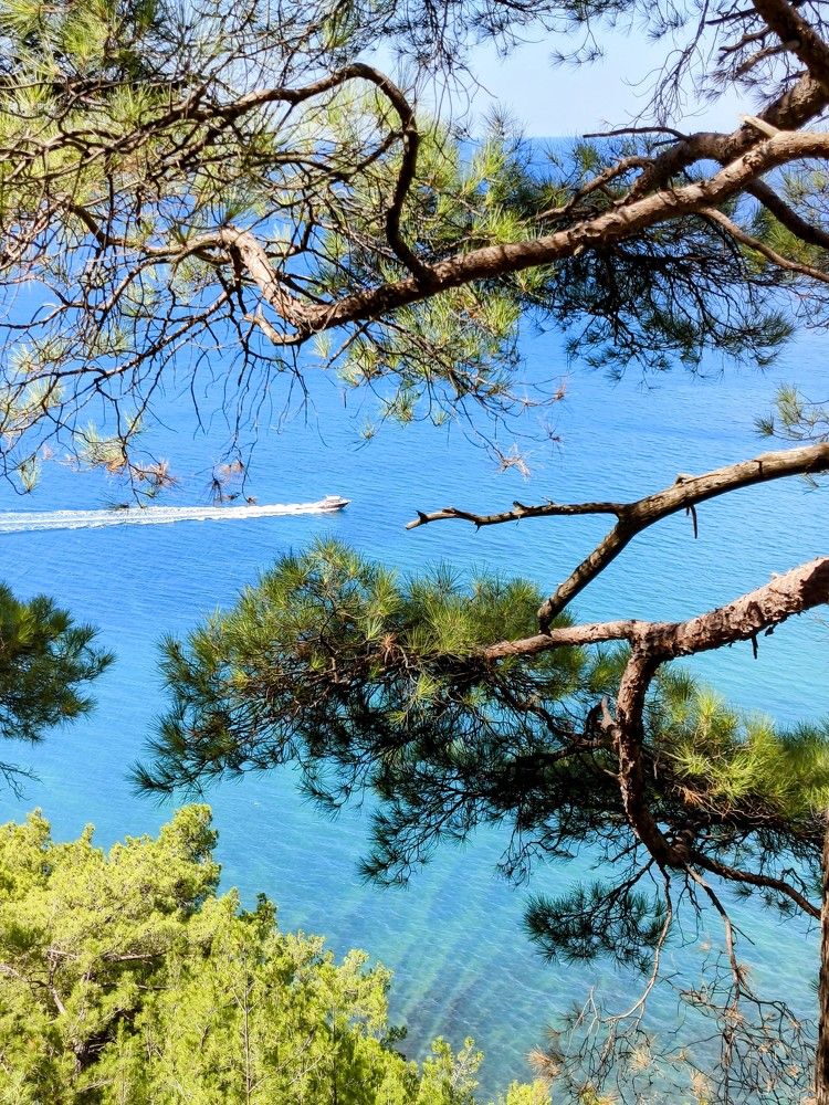 Голубая бездна