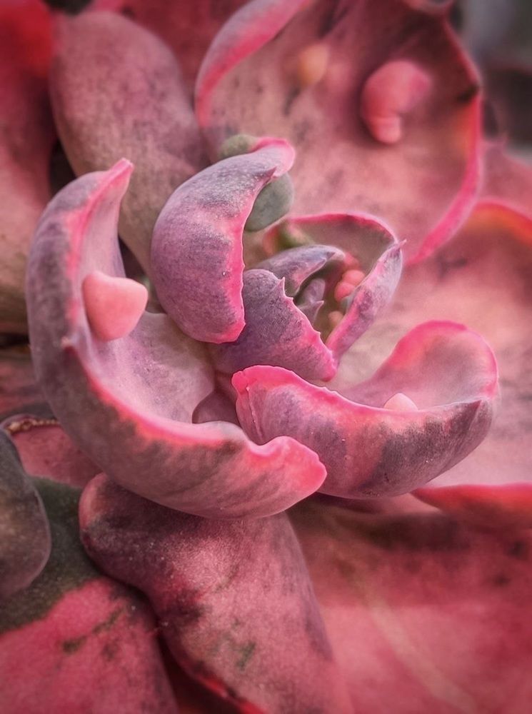 Photograph by Надежда