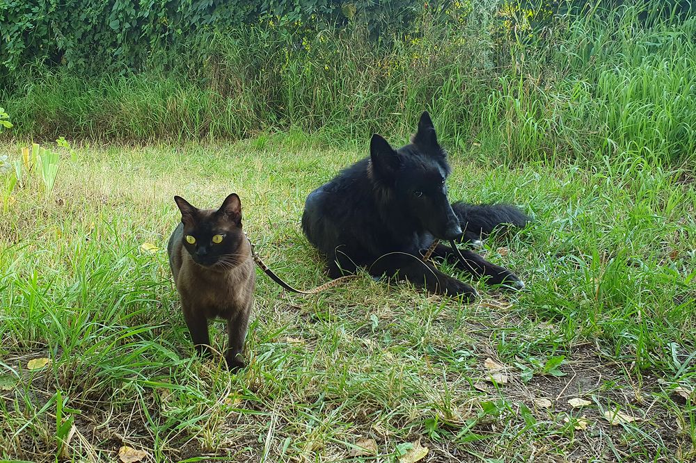 Фотография автора Надежда Лисицына