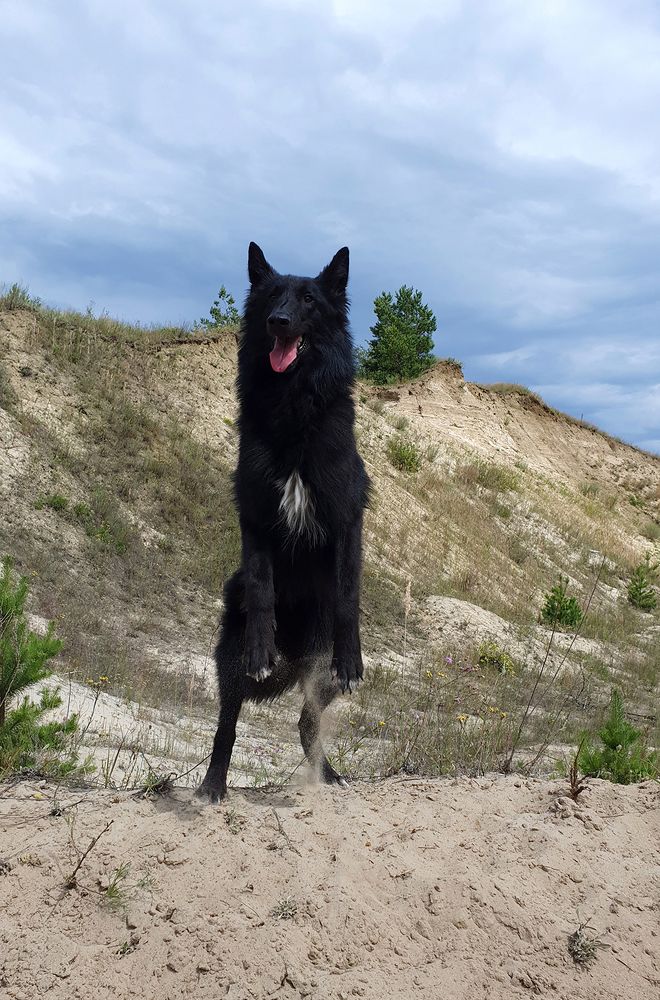 Фотография автора Надежда Лисицына