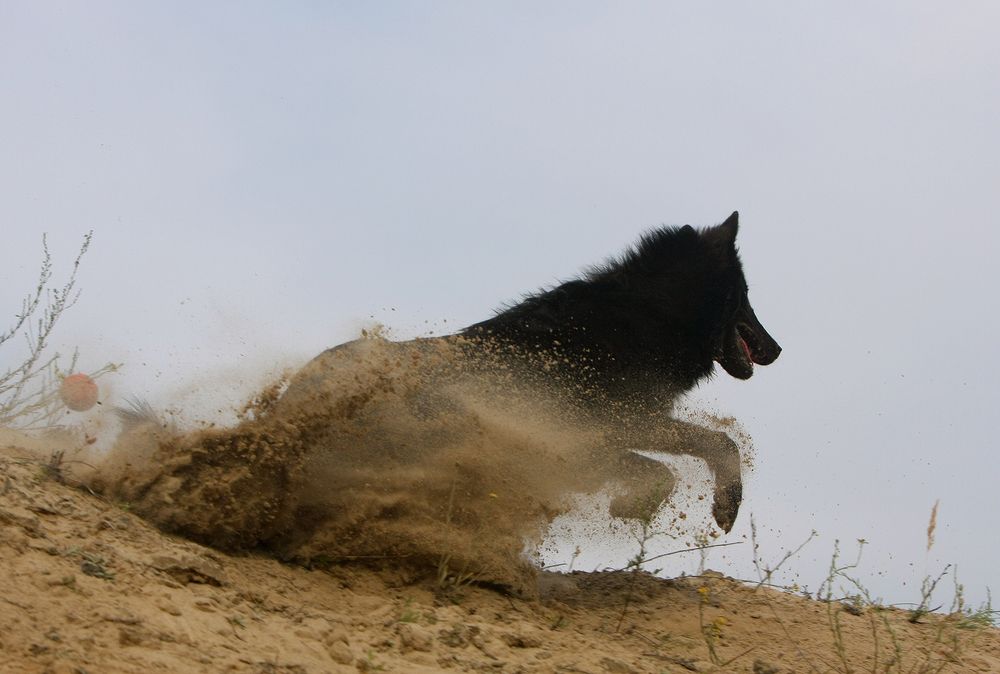 Фотография автора Надежда Лисицына