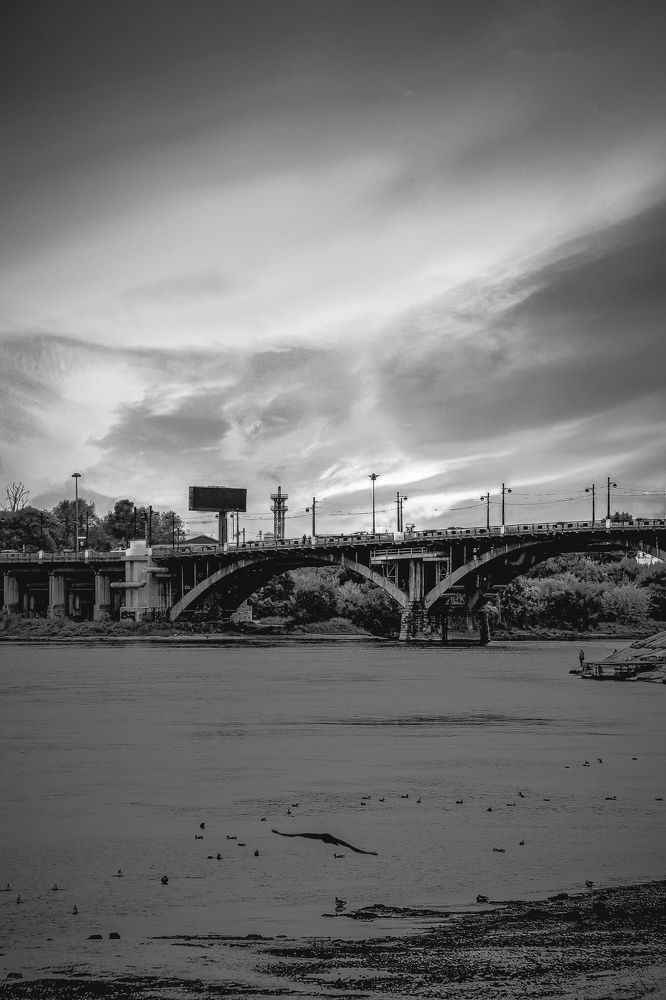 Photograph by Дарья