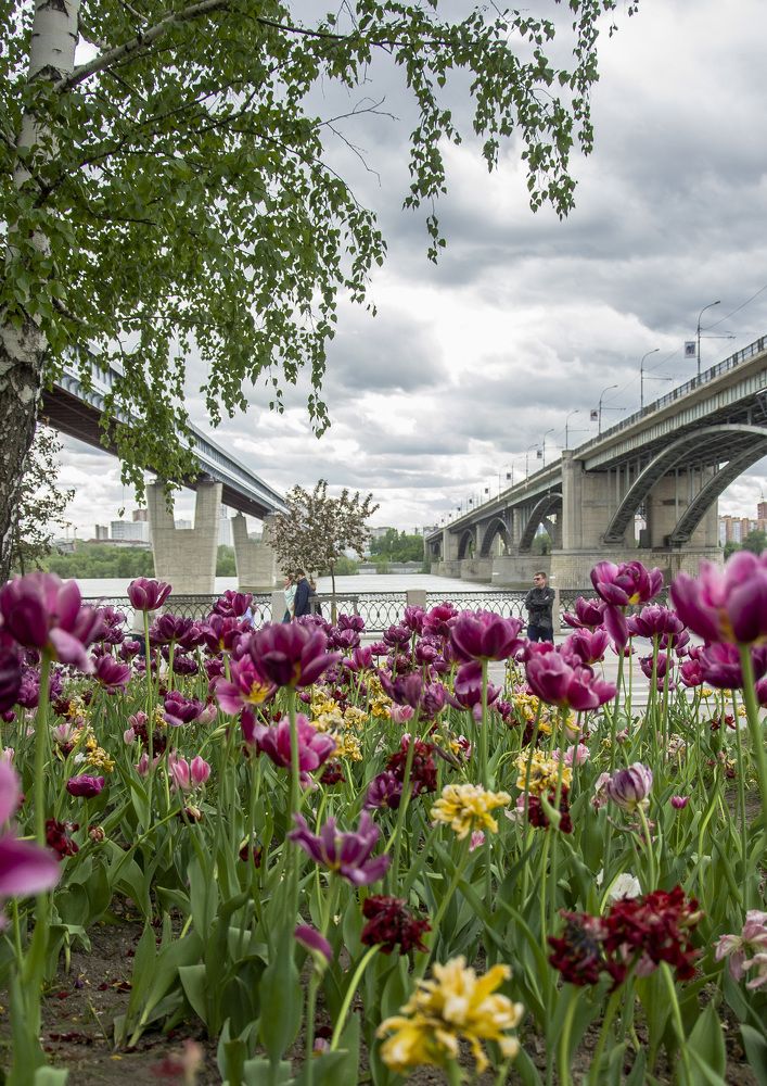 Photograph by Татьяна Титова