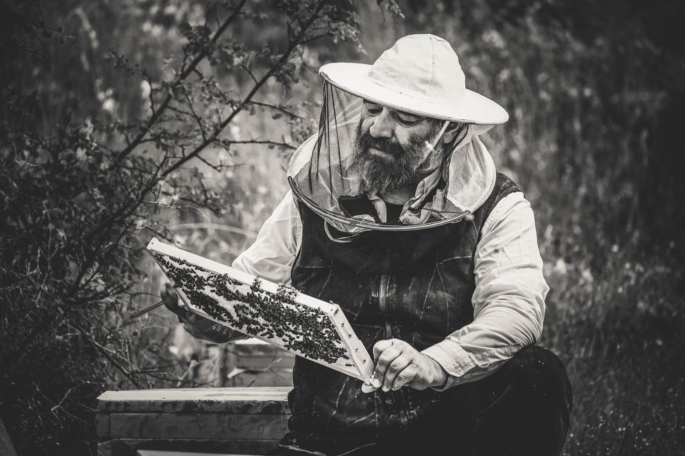 Photograph by Dimitris Vavliaras