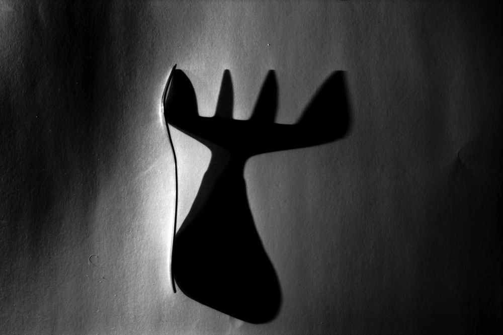 Предмет и его тень