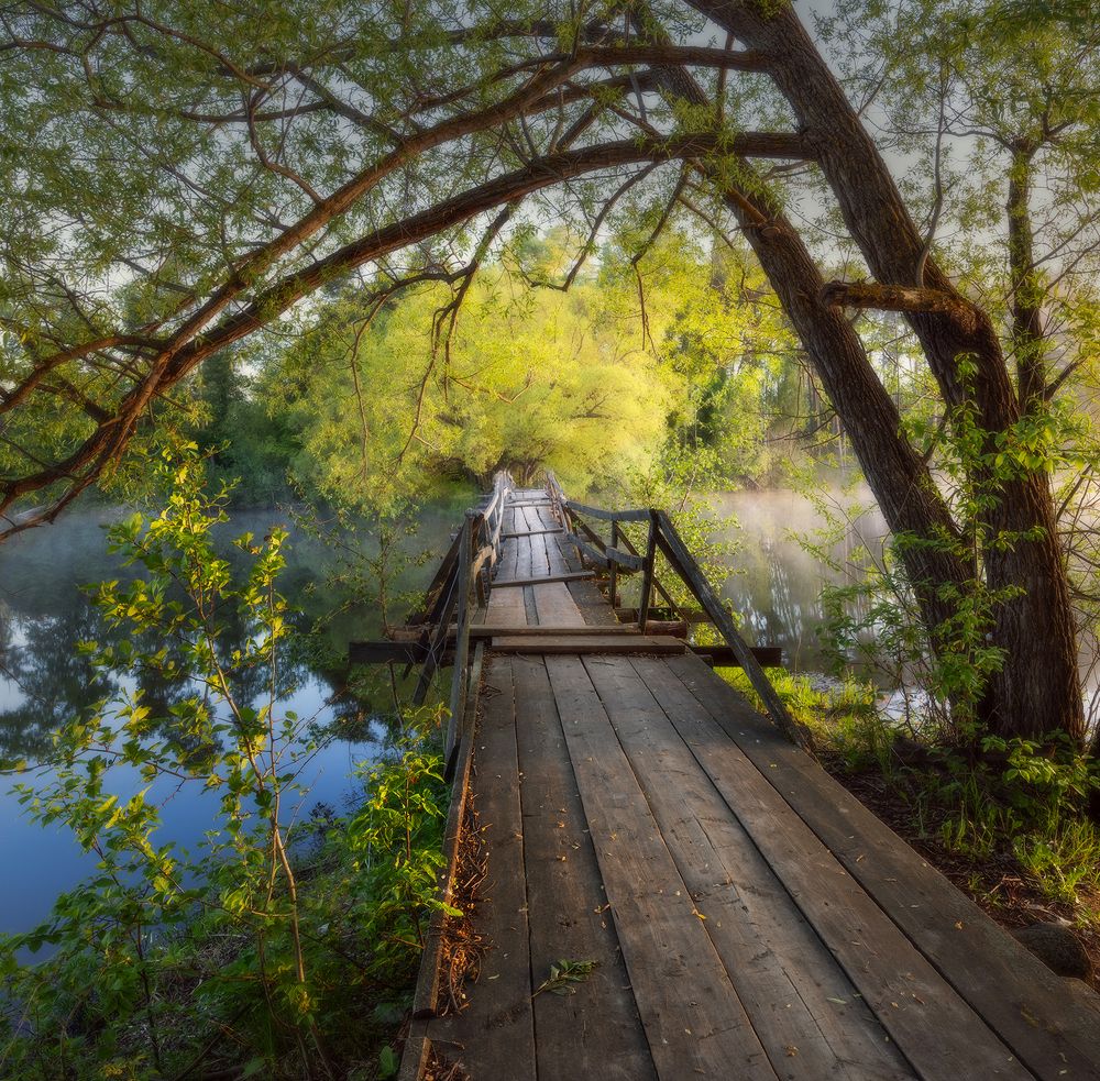 Photograph by Сергей Буторин