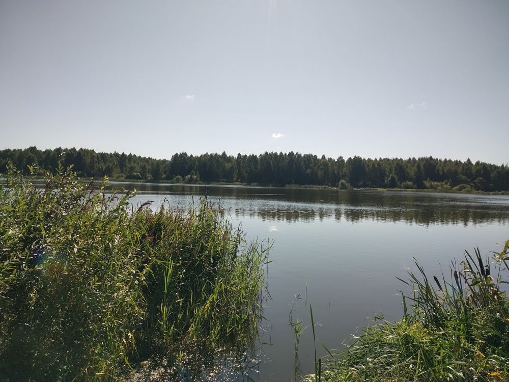 Photo #10946355
