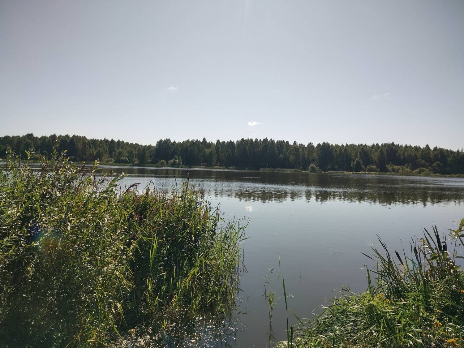 Photo #10946355
