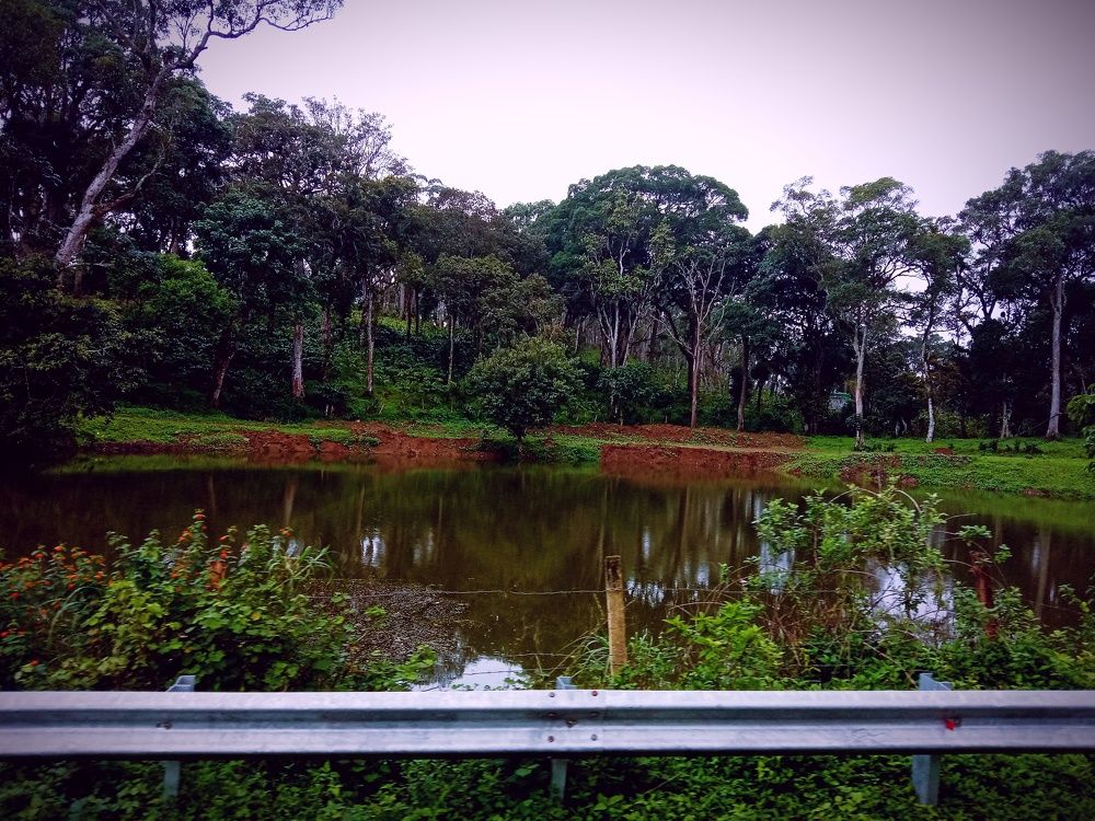 Фотография автора Captured Chronicles