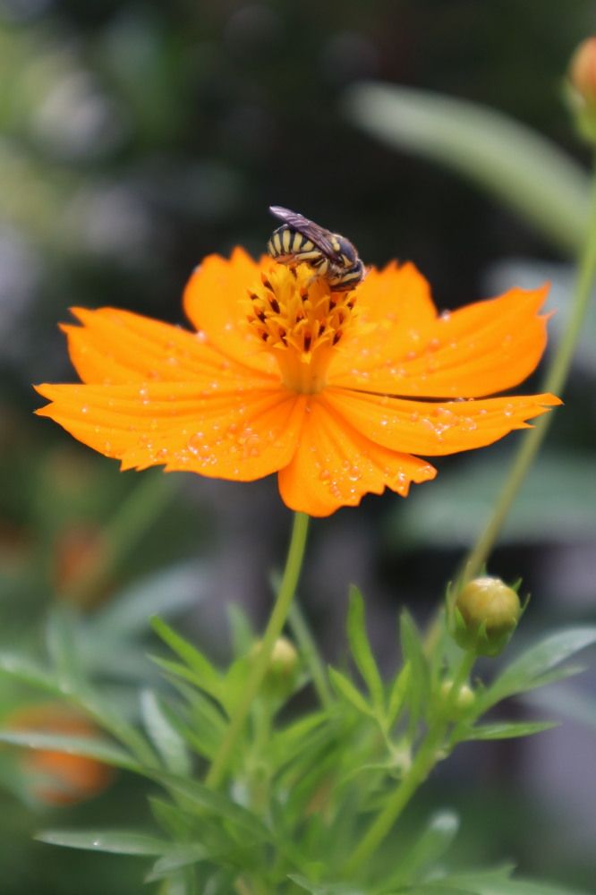 После дождя.