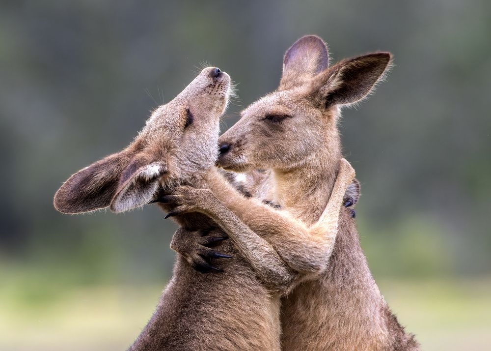 Photograph by Alexander Babych