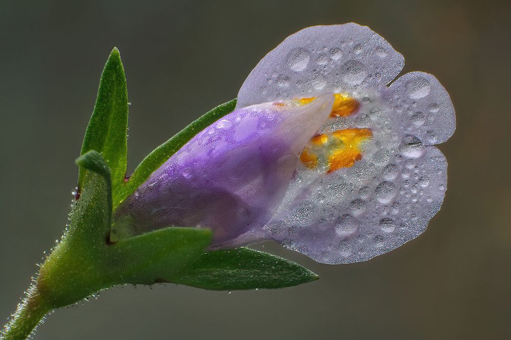 Photograph by Li Chen-You