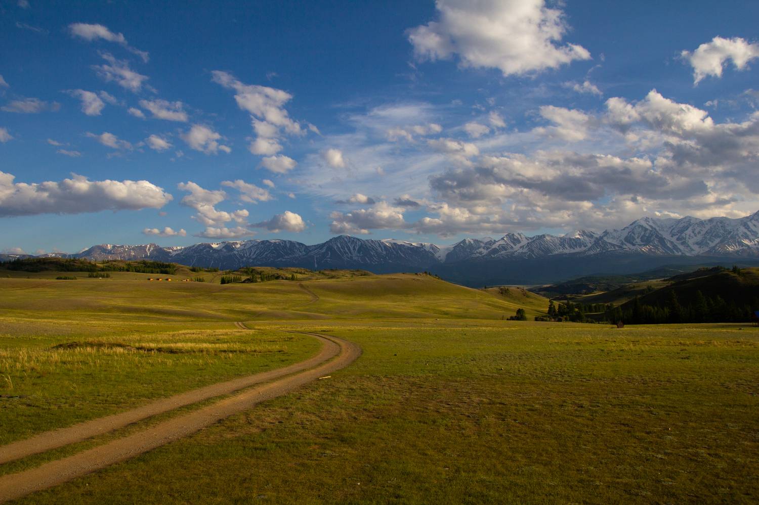 Фотография #10946469