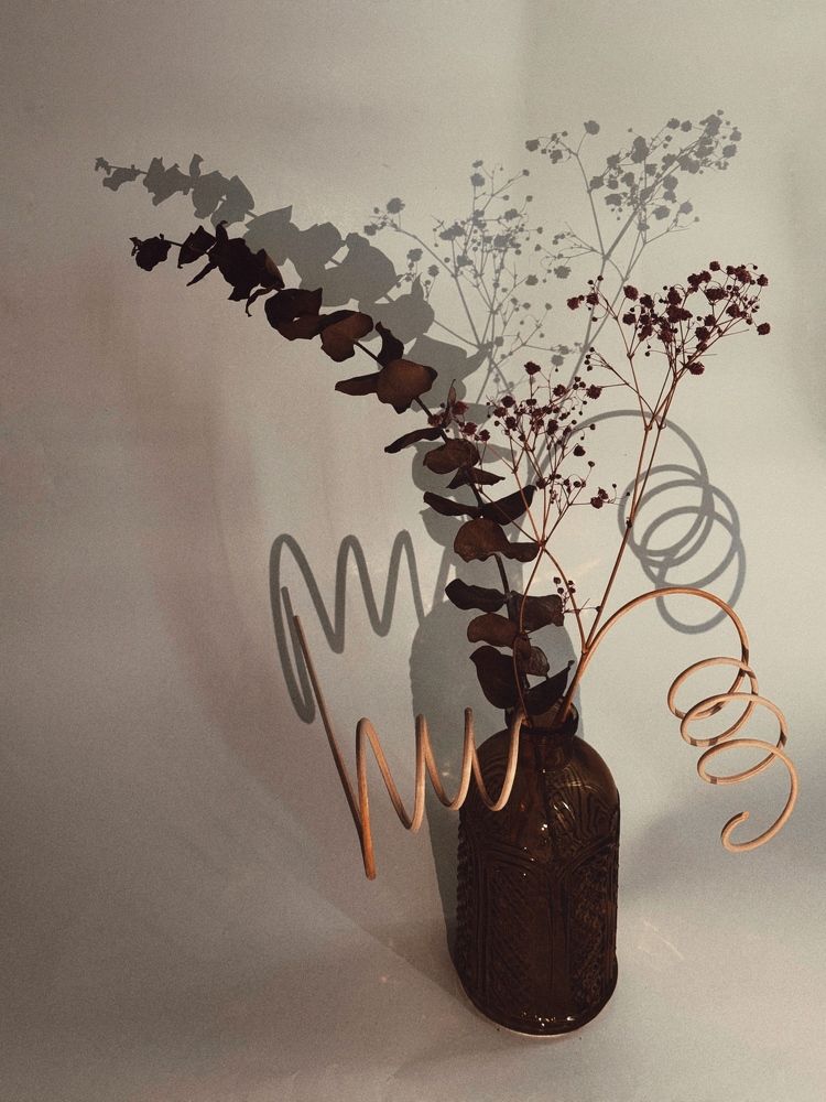 Фотография автора Елена Поживилко