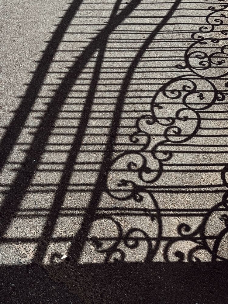 Фотография автора Елена Поживилко