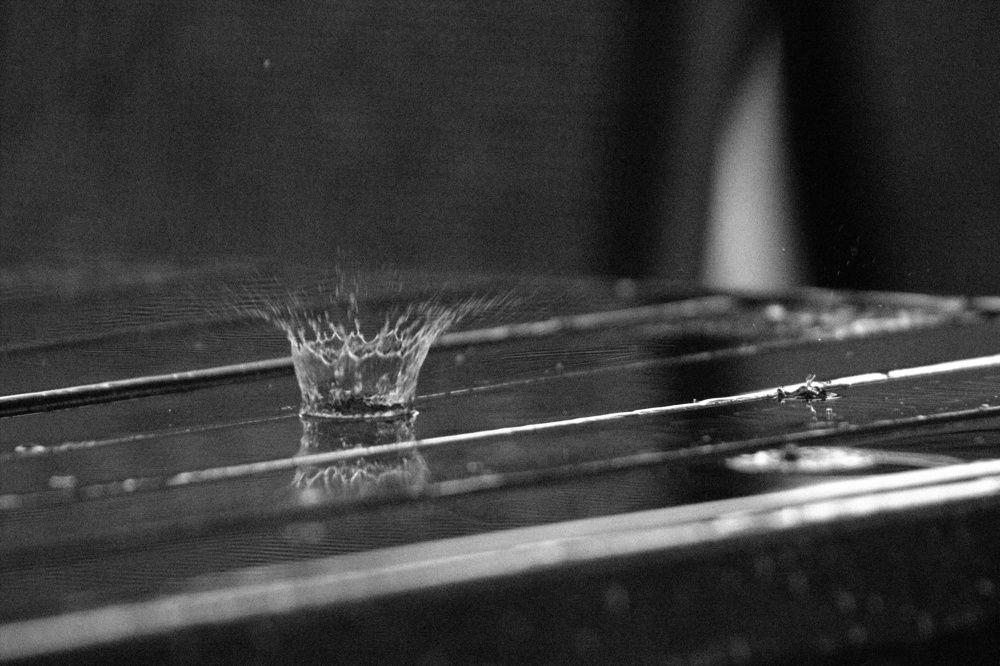 Photograph by Светлана Кравченко