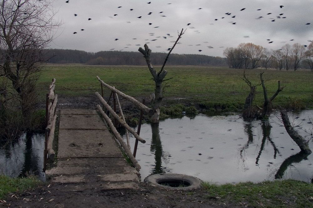 Мост через речку Беленькая