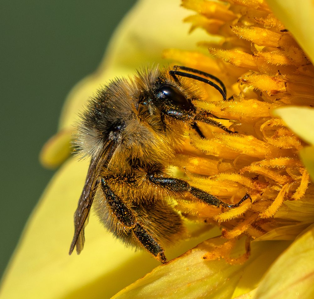 Photograph by Viktor Makarov
