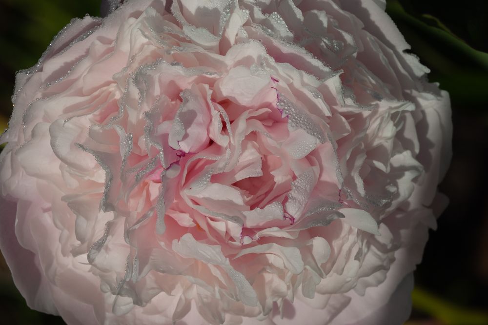 Photograph by Потемкина Евгения