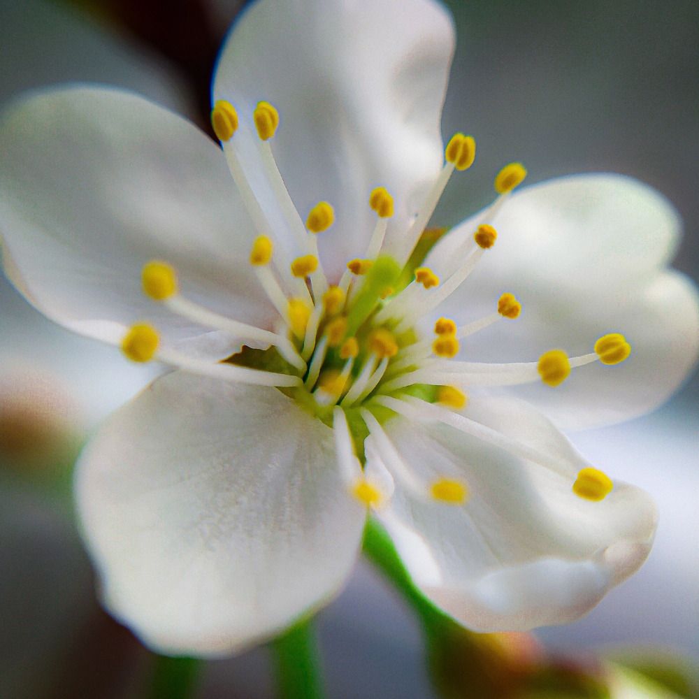 Photograph by Ekaterina