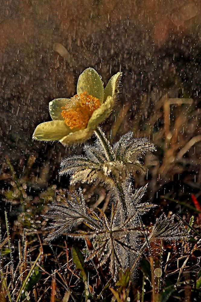 Photograph by Александр Велигура