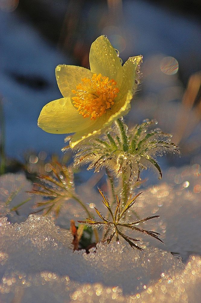 Photograph by Александр Велигура