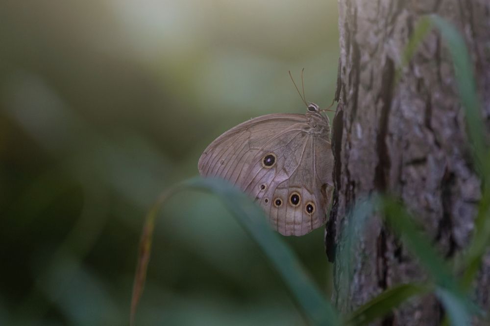 Photograph by Evgenia Loskutova