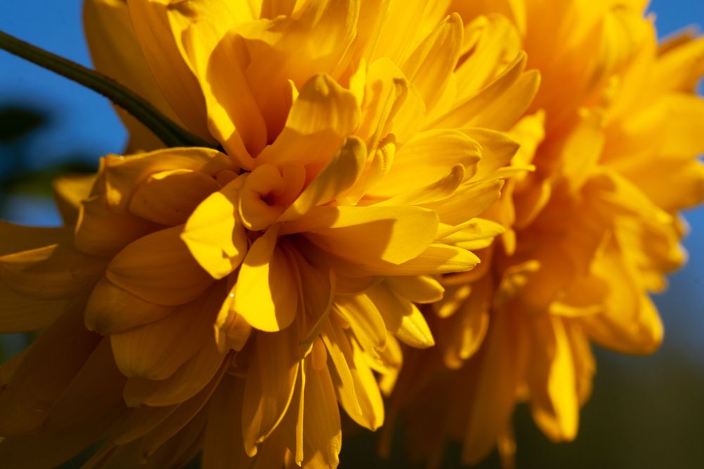 Photograph by Потемкина Евгения