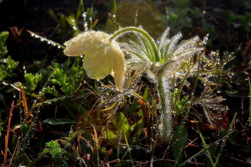 Photograph by Александр Велигура