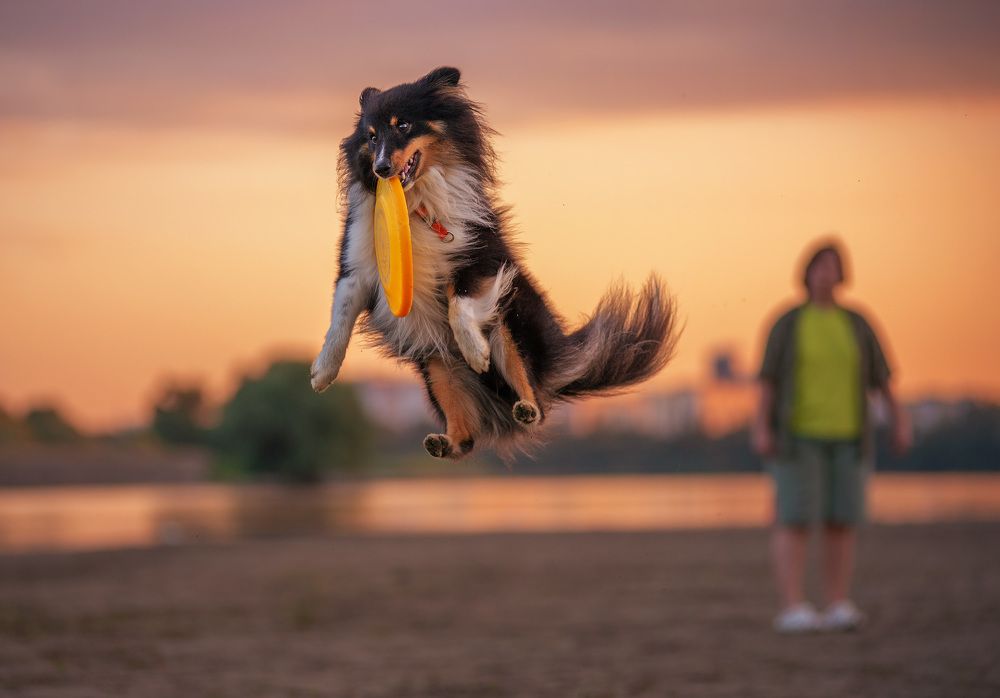 Photograph by Григорьева Юлия