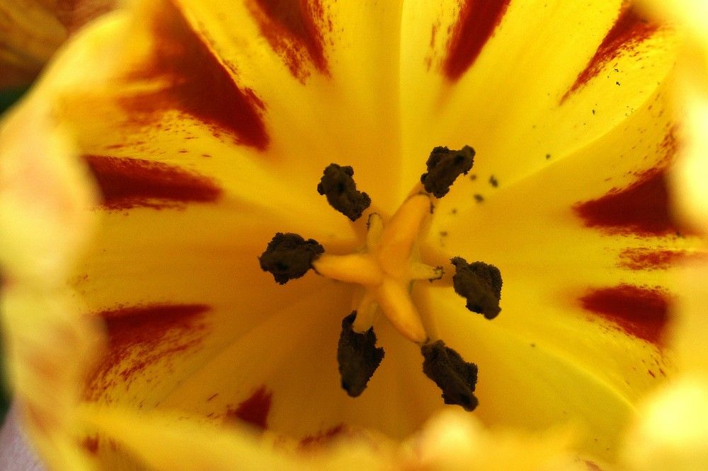 Photograph by Мария Халуторных