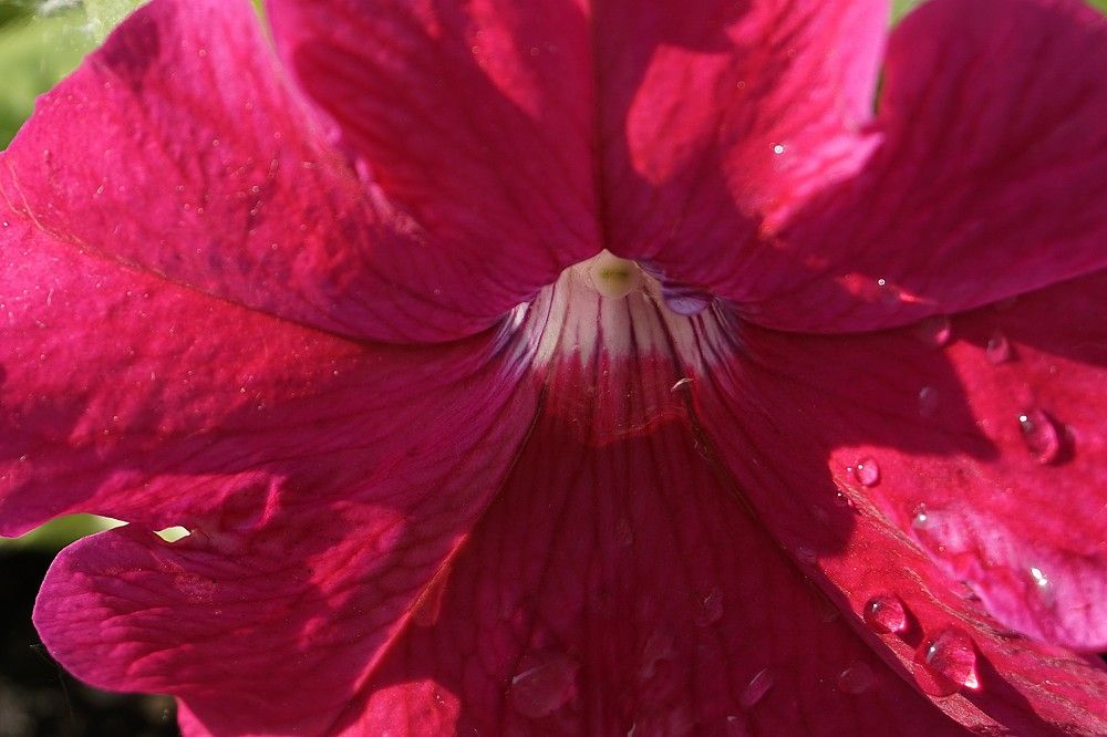 Photograph by Мария Халуторных