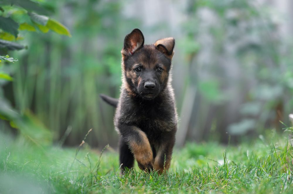 Photograph by Олег Гаричкин