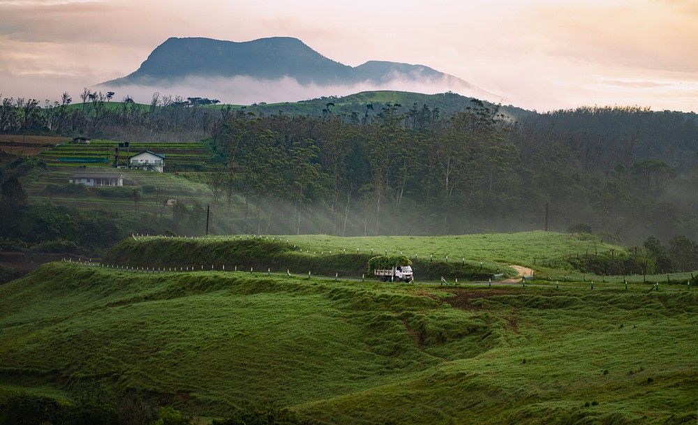 Life in the Countryside