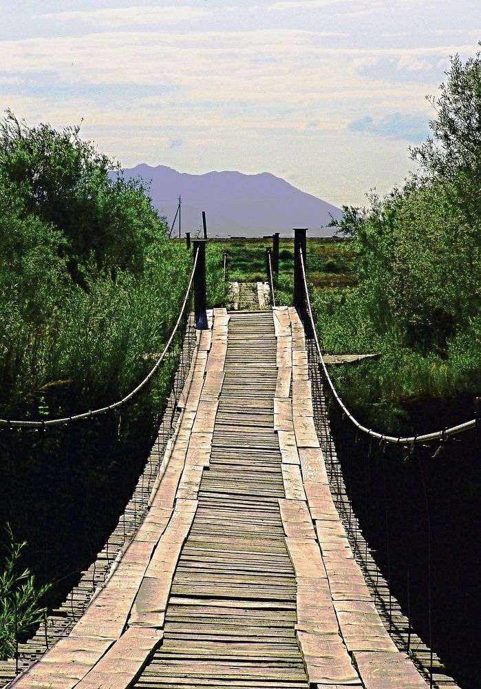 Photograph by Михаил Максимов