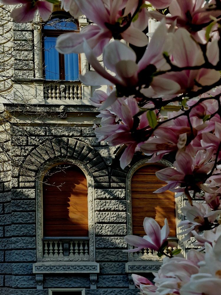 Фотография автора Maryna Pytliak