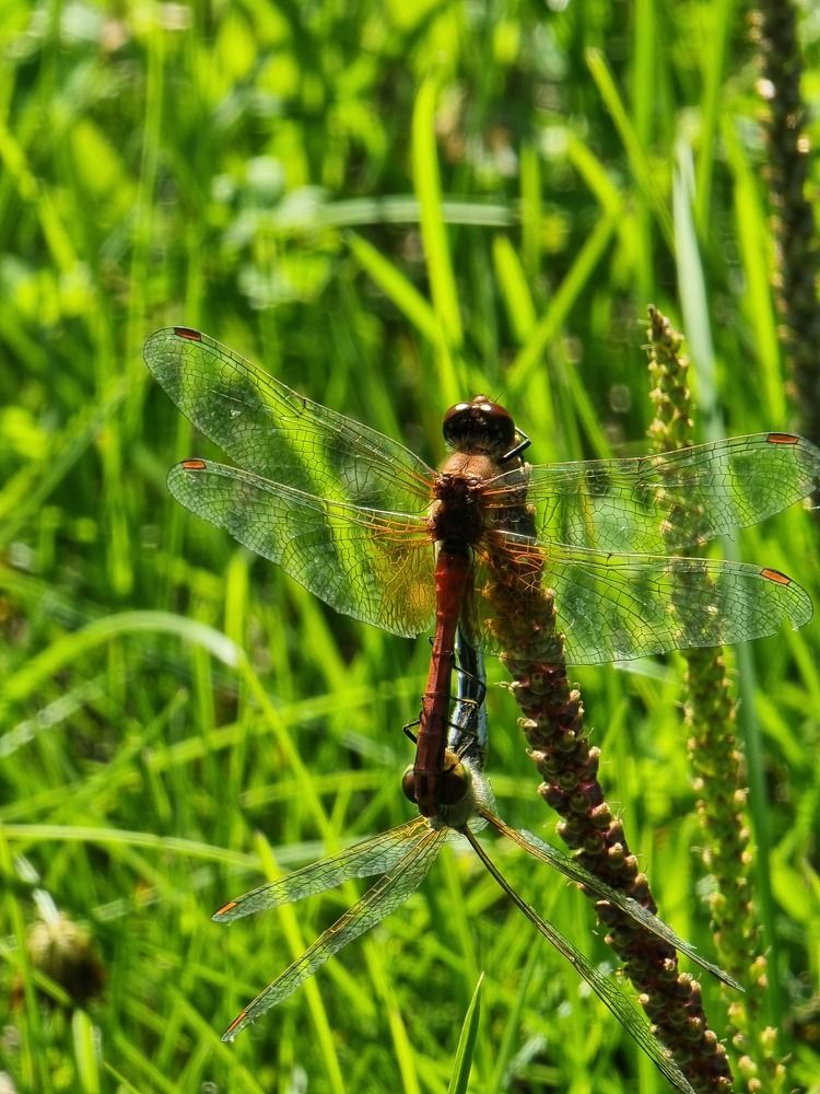 Photograph by Лилия Шарифуллина