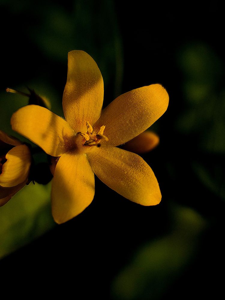 Photograph by Ольга Карева