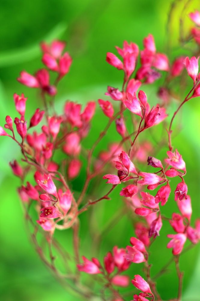 Фотография автора Колосова Елена