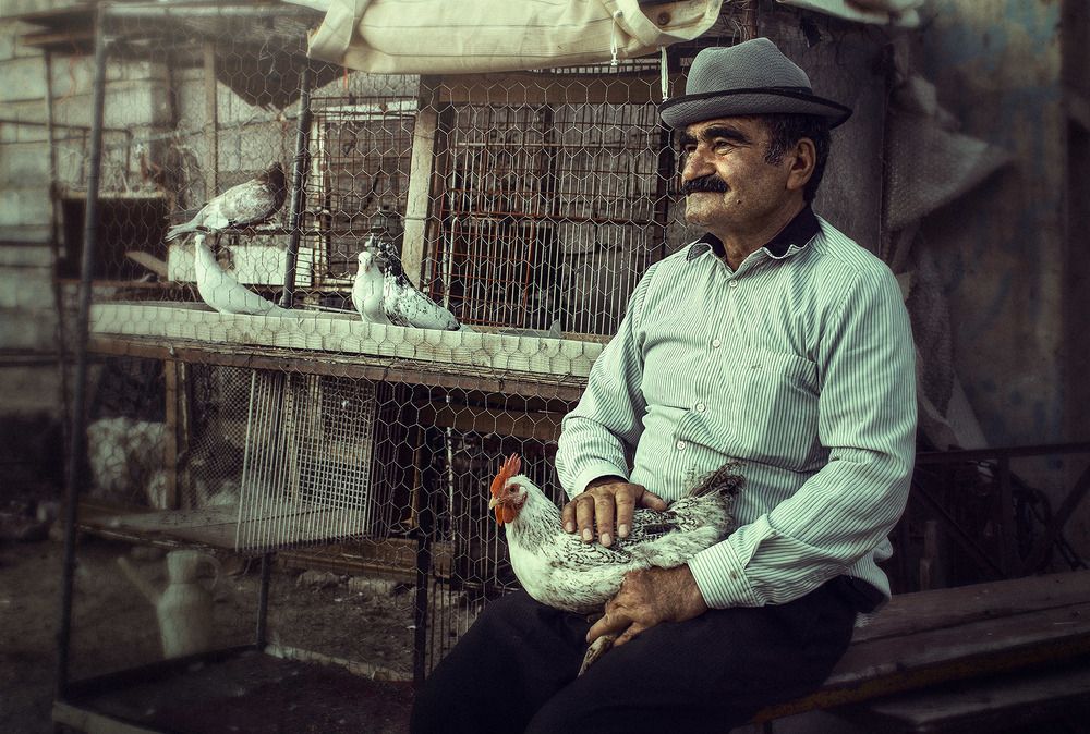 Photograph by Farzad Ajori