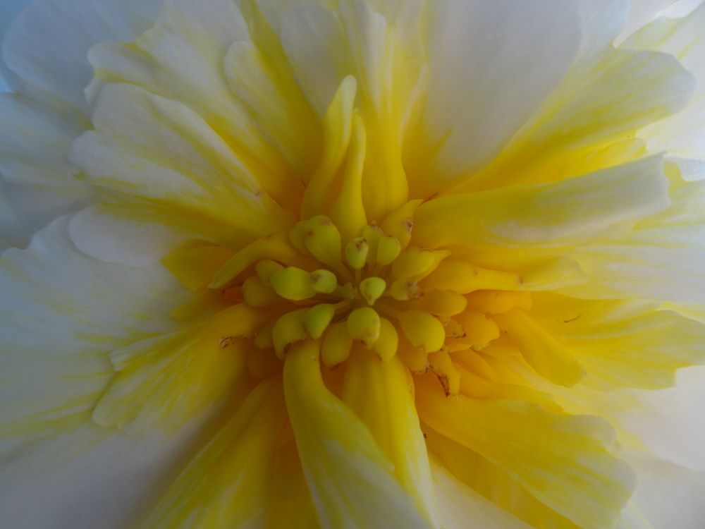 Photograph by Мила Милая